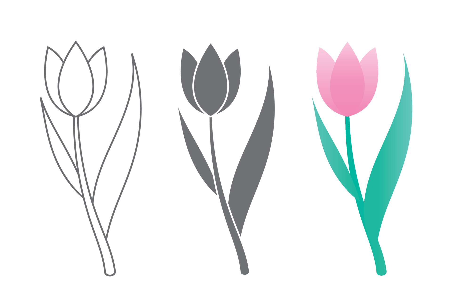 Vector line art set of tulips, spring flowers. Tulip flower. Tulip