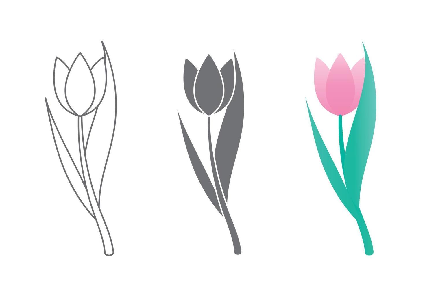 Vector line art set of tulips, spring flowers. Tulip flower. Tulip illustration.