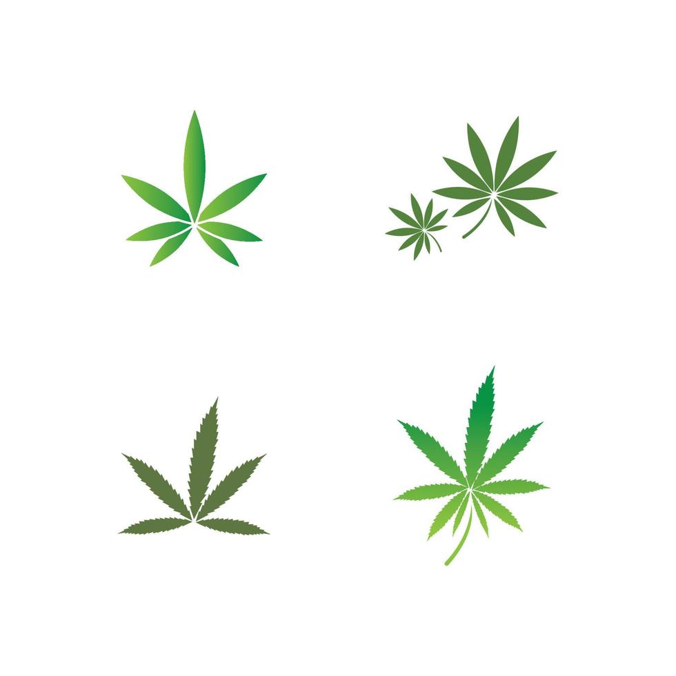 vector cannabis or marijuana icon logo for medical or pharmacy industry