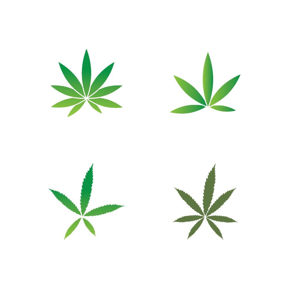 vector cannabis or marijuana icon logo for medical or pharmacy industry