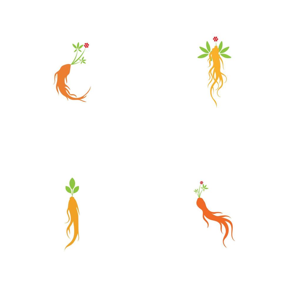 Conjunto de plantilla de diseño de ilustración de logotipo de ginseng vector