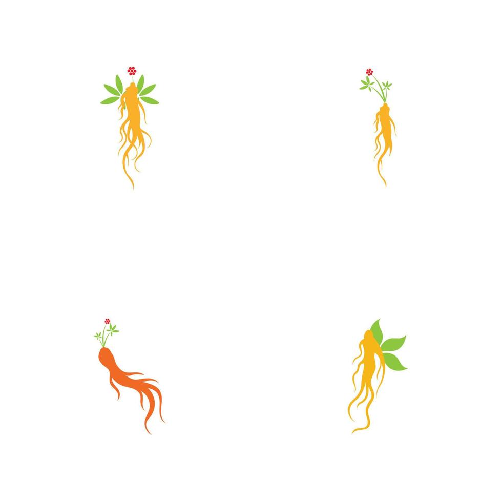 set of ginseng logo illustration design template vector