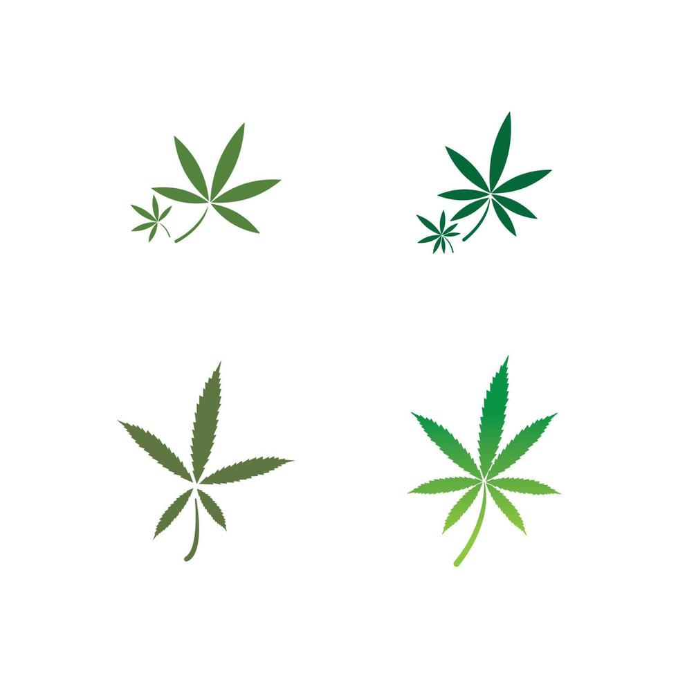 vector cannabis or marijuana icon logo for medical or pharmacy industry