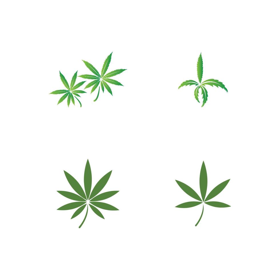 vector cannabis or marijuana icon logo for medical or pharmacy industry