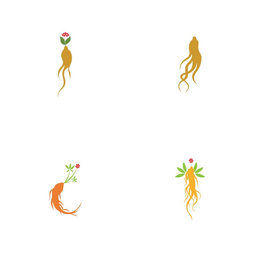 Conjunto de plantilla de diseño de ilustración de logotipo de ginseng vector