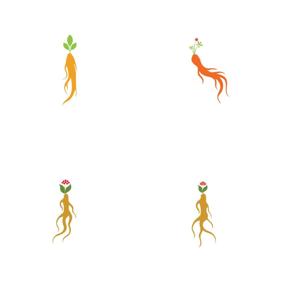 set of ginseng logo illustration design template vector