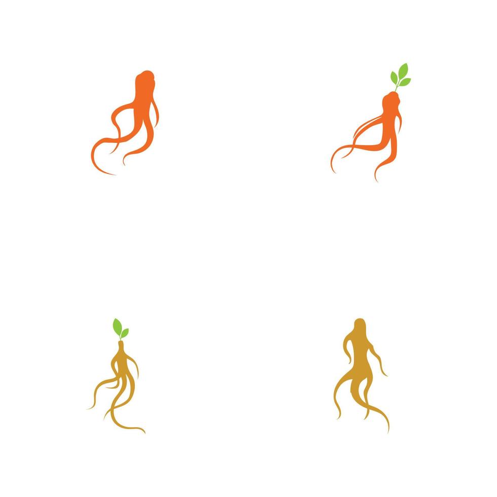 Conjunto de plantilla de diseño de ilustración de logotipo de ginseng vector