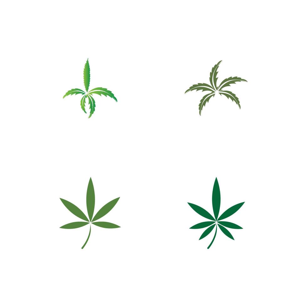 vector cannabis or marijuana icon logo for medical or pharmacy industry