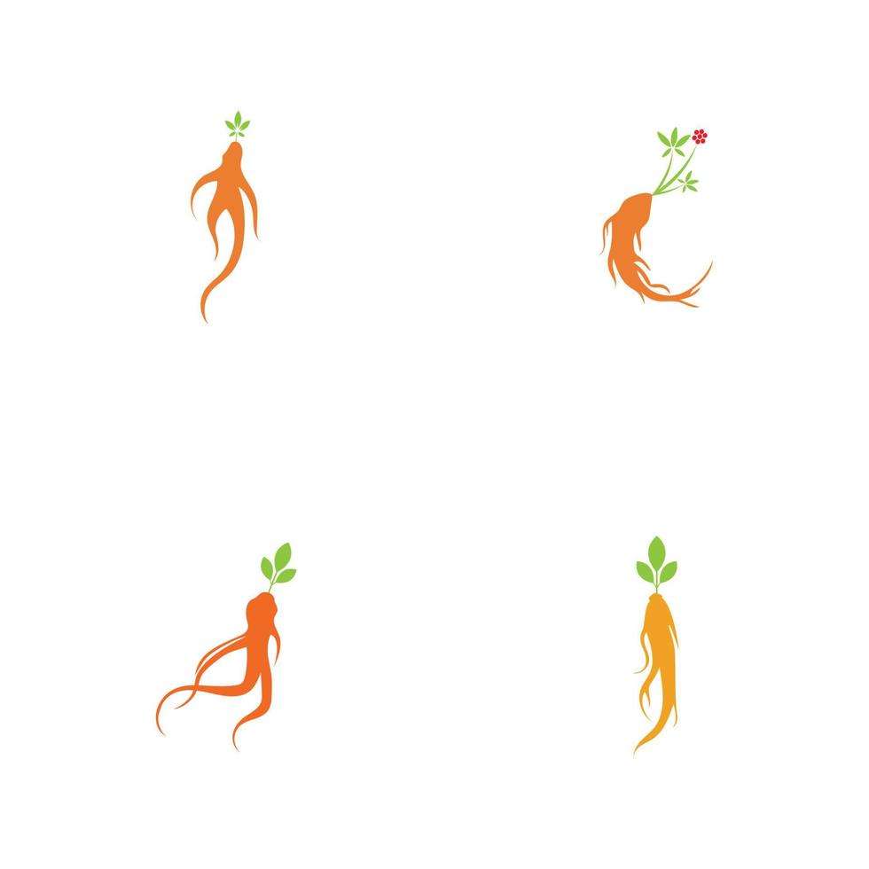 Conjunto de plantilla de diseño de ilustración de logotipo de ginseng vector