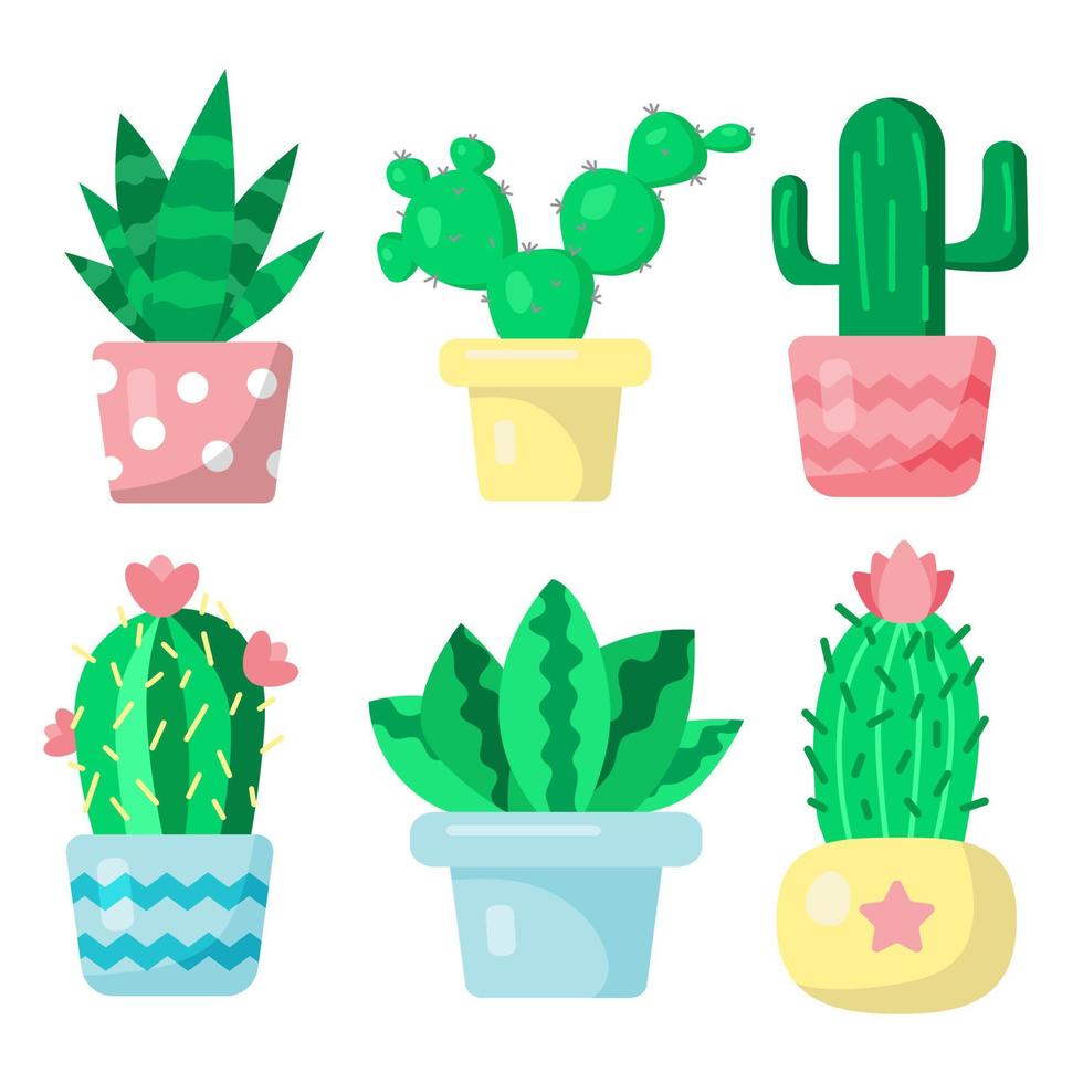 Set of cute cactuses in pots, funny print in cartoon flat style. Home succulent plant illustration. Exotic and tropical plants. Print for books, planner, clothes, textile, design and decor vector