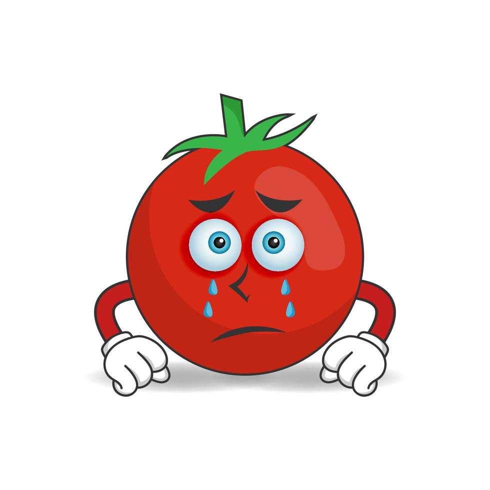 Tomato mascot character with sad expression. vector illustration
