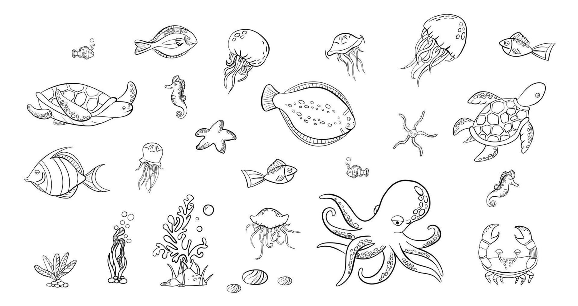 Big set of hand drawn doodle tropical fishes. Black outlines seaworld . Turtle, octopus, jelly fishes, starfish vector