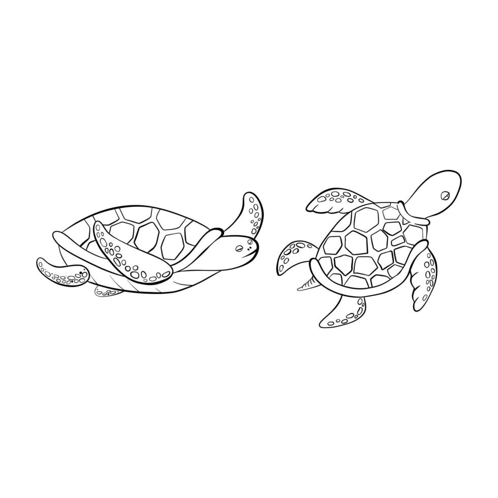 Vector black outline cartoon doodle sea turtles.