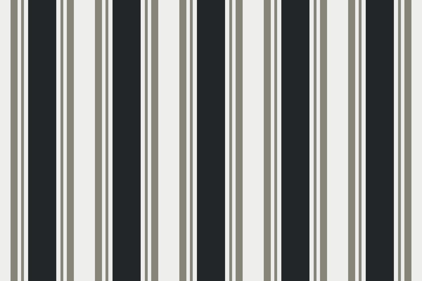 abstract black and white zebra striped background with lines vector