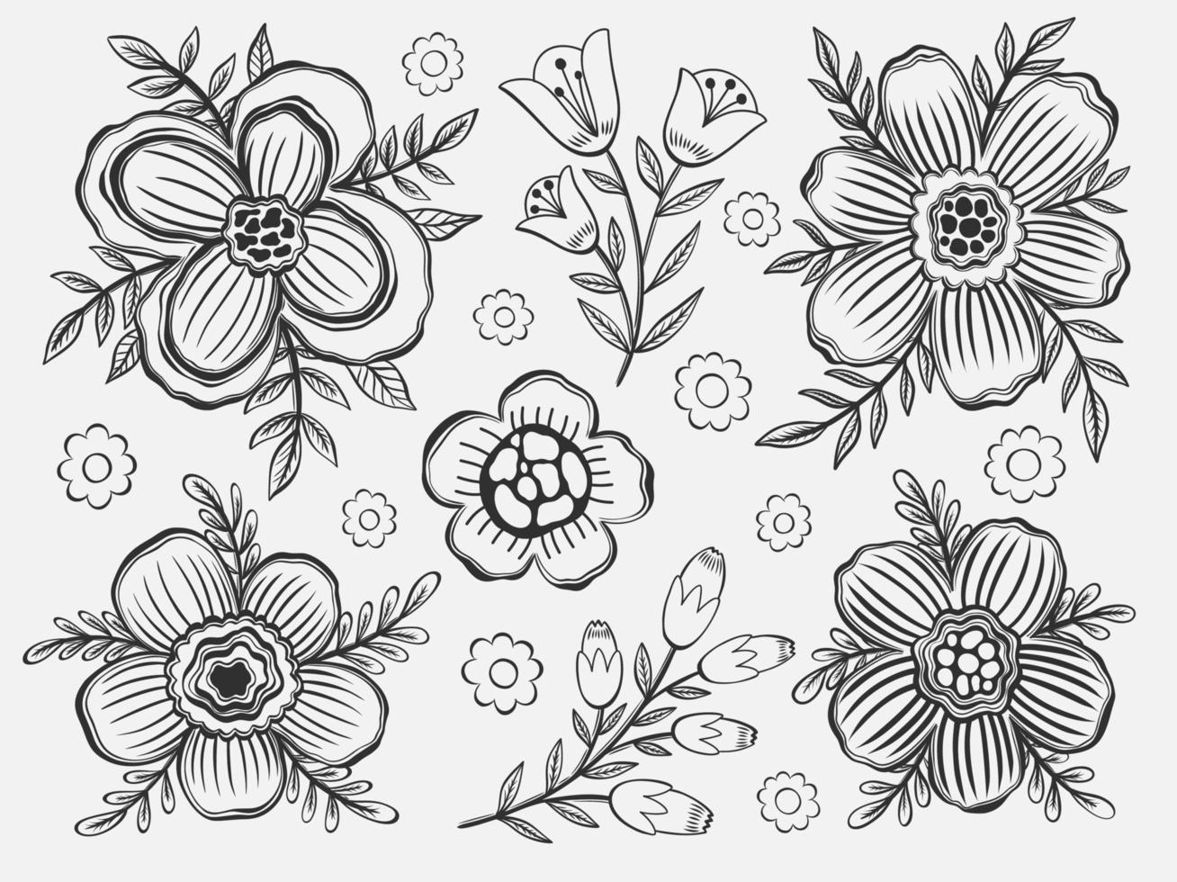 Set floral outline hand draw.Element black color in white background.Botanical plant flower design. vector