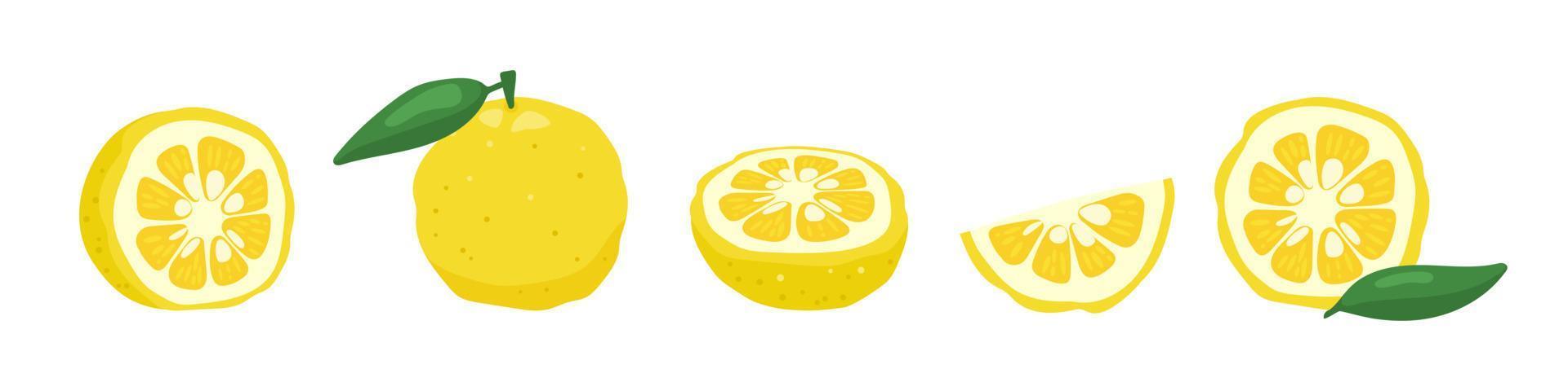 Ilustración de vector de fruta de limón yuzu japaness.