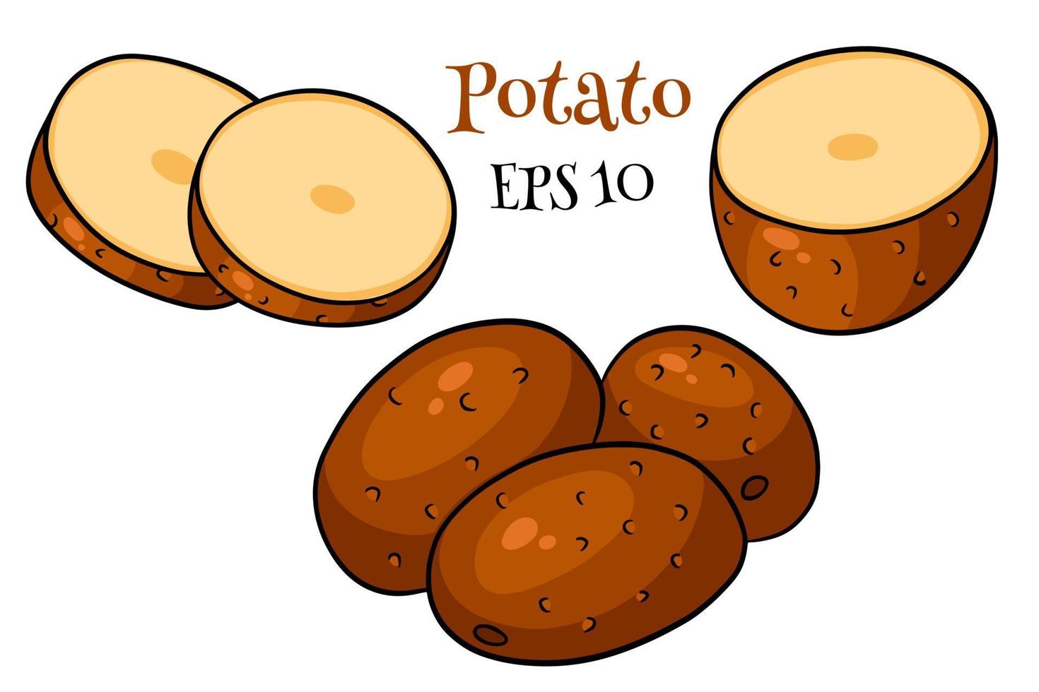 Set of potatoes. Whole potatoes, cut into wedges, half. vector