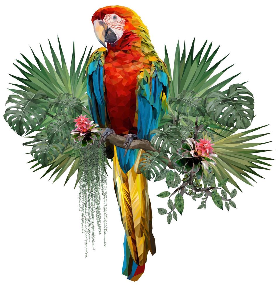 guacamayo herlequin poligonal 2020 a01 vector