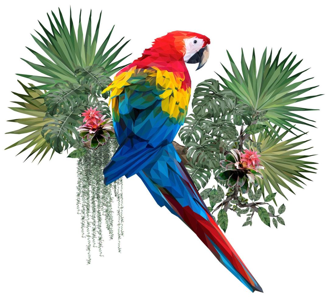 Scarlet macaw polygonal 2020 A02 vector