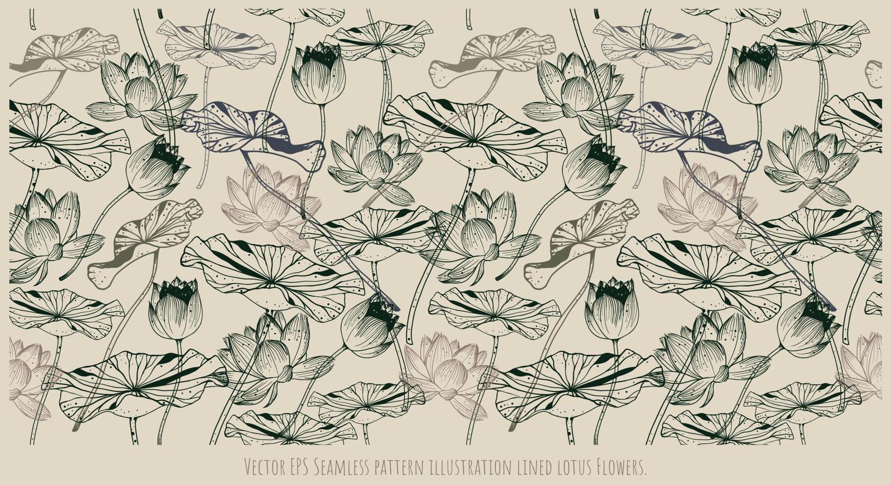 Vector EPS Seamless pattern illustration lined lotus Flowers