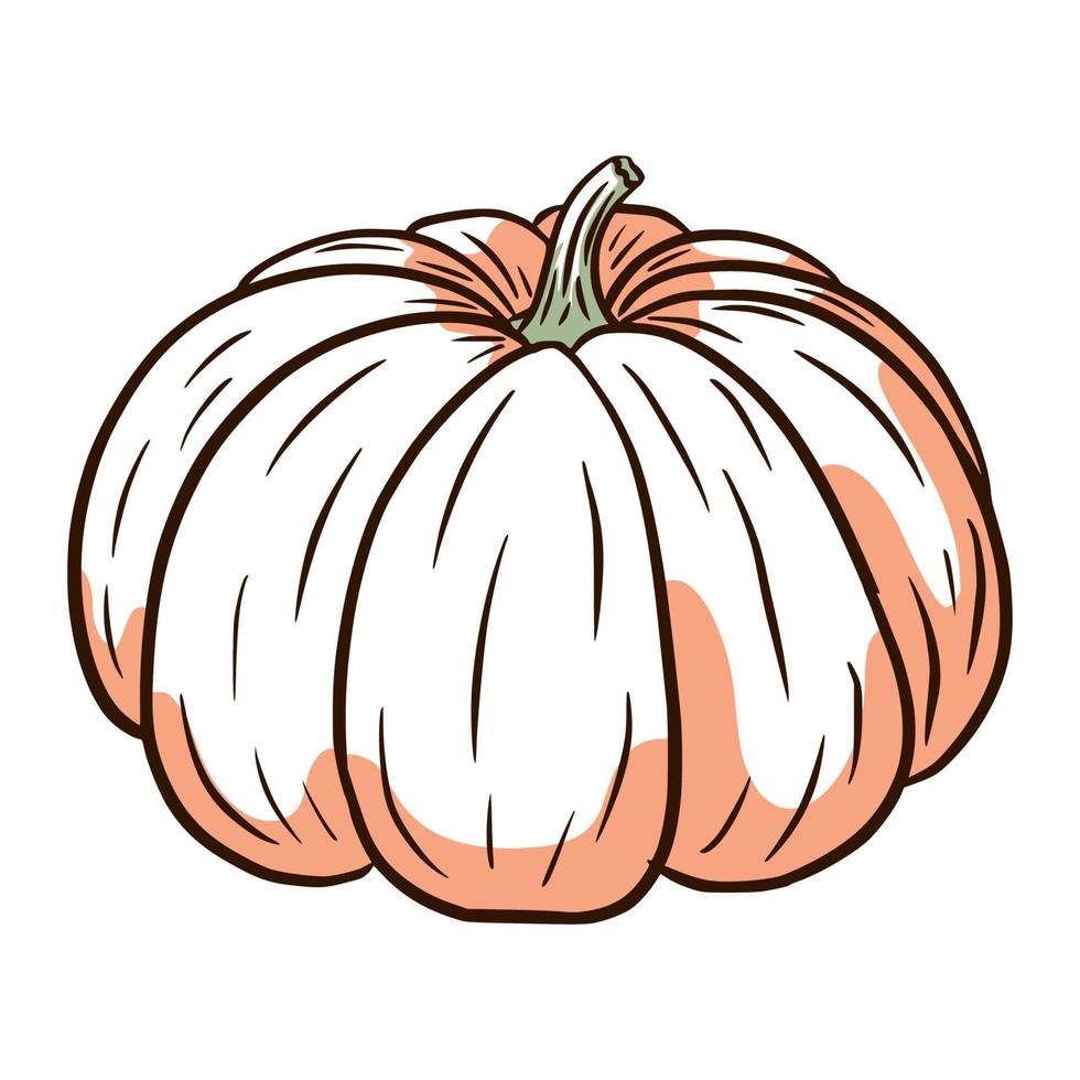 imagen de calabaza de cuento de hadas. Ilustración de calabaza de otoño. bosquejo de calabaza madura. elemento para el diseño decorativo de otoño, invitación de halloween, cosecha, pegatina, impresión, logotipo, menú, receta vector