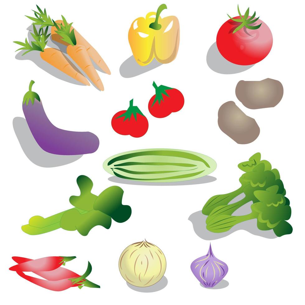 Vegetable Sign and Icon Set vector