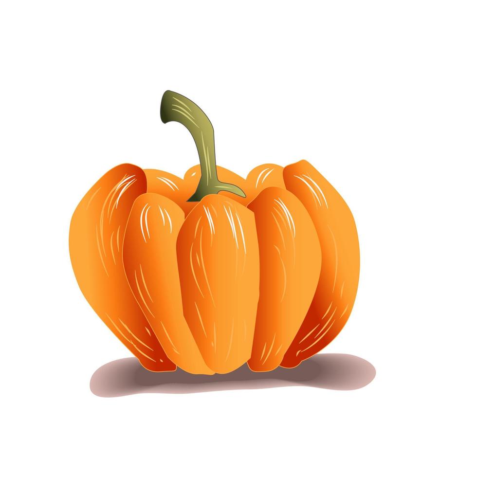 Ilustración de vector de calabaza