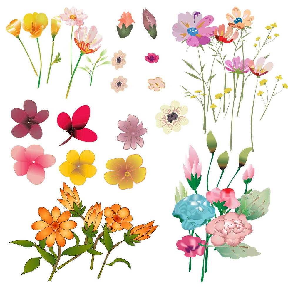 conjunto de flores ilustración vectorial vector