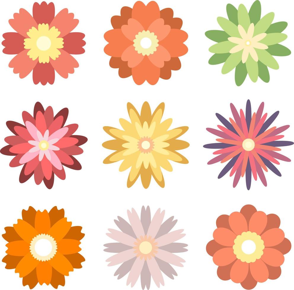 Coloridas flores de primavera aisladas sobre fondo blanco. vector