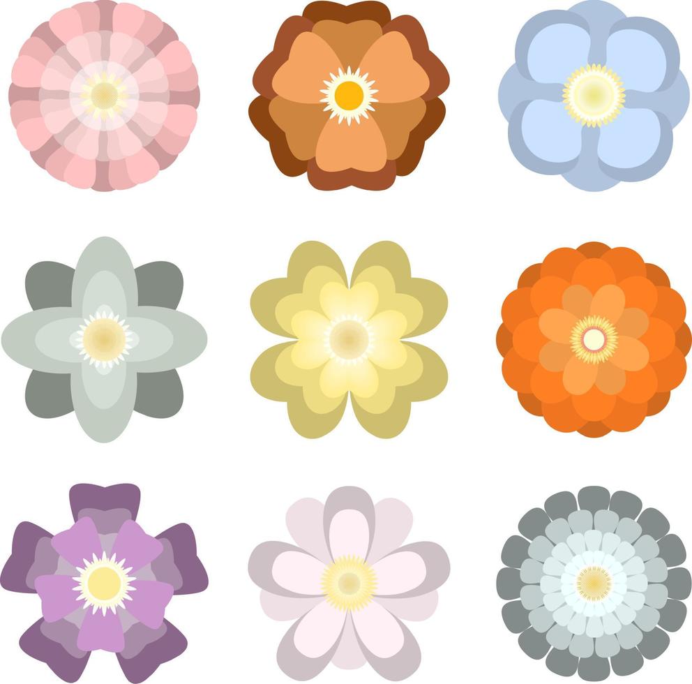 Coloridas flores de primavera aisladas sobre fondo blanco. vector