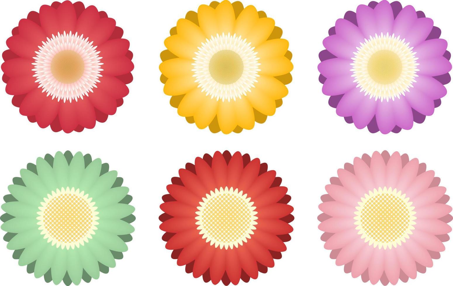 Colorful flower isolated on white background vector