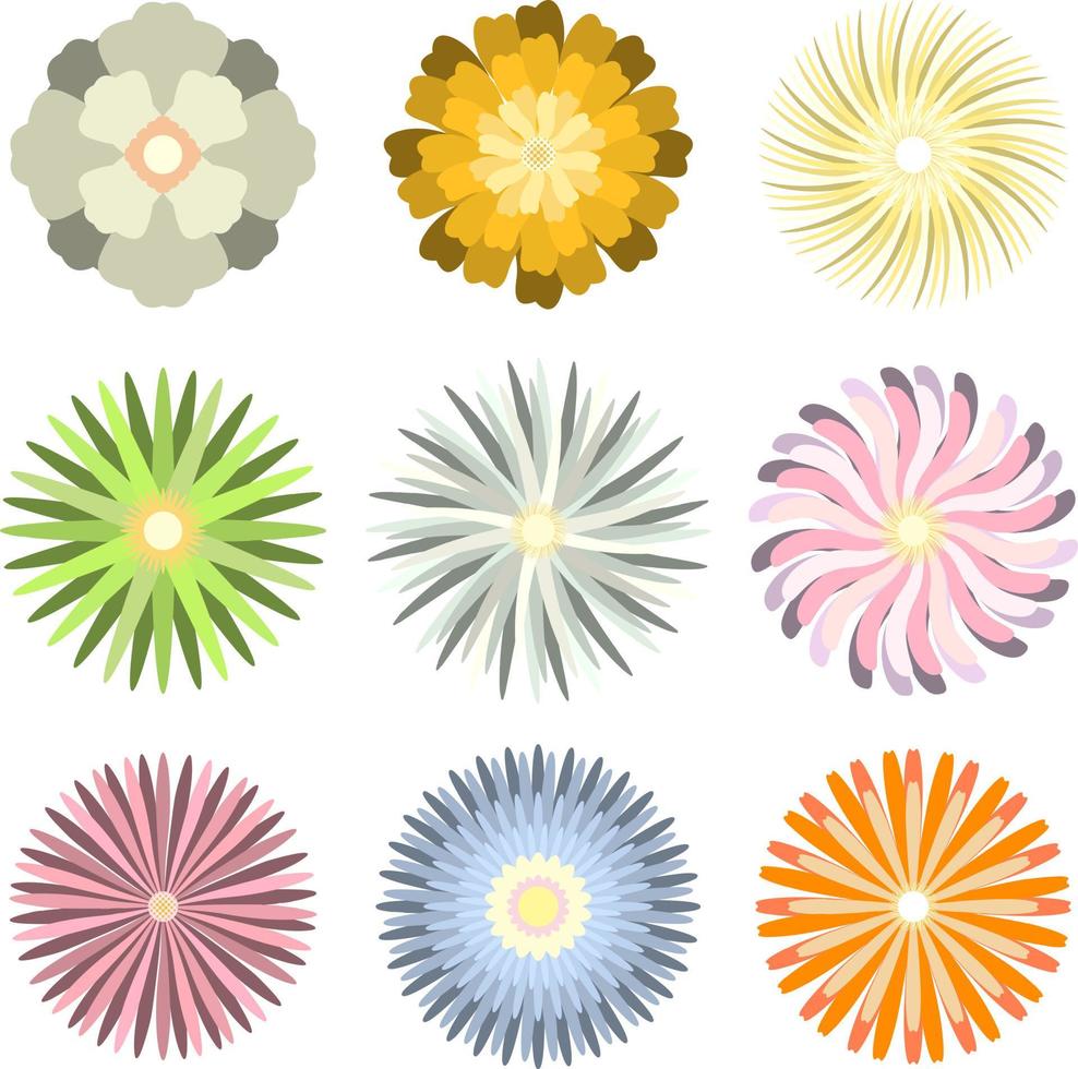 Coloridas flores de primavera aisladas sobre fondo blanco. vector