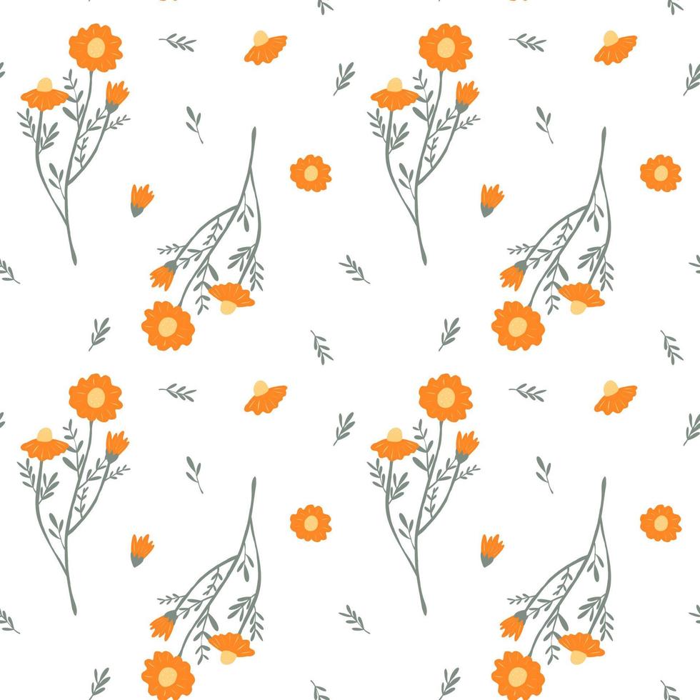 Seamless pattern with daisy flower vector