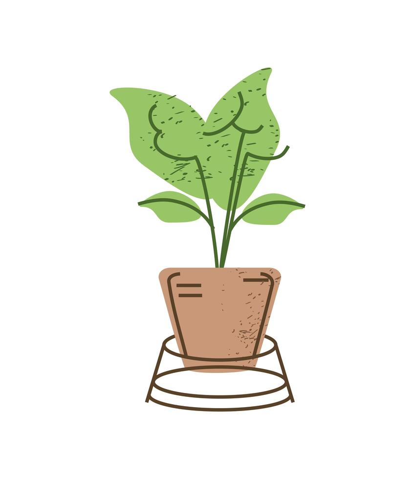 houseplant in stand vector