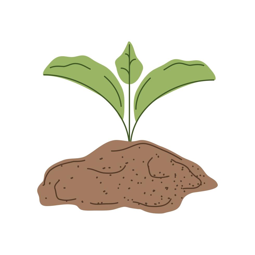 growth plant in soil vector