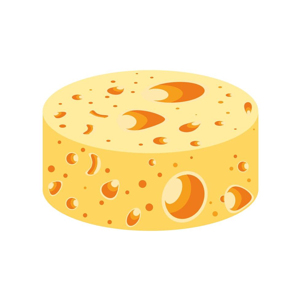 round cheese food vector