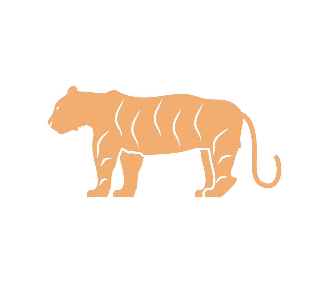 bengal tiger animal vector