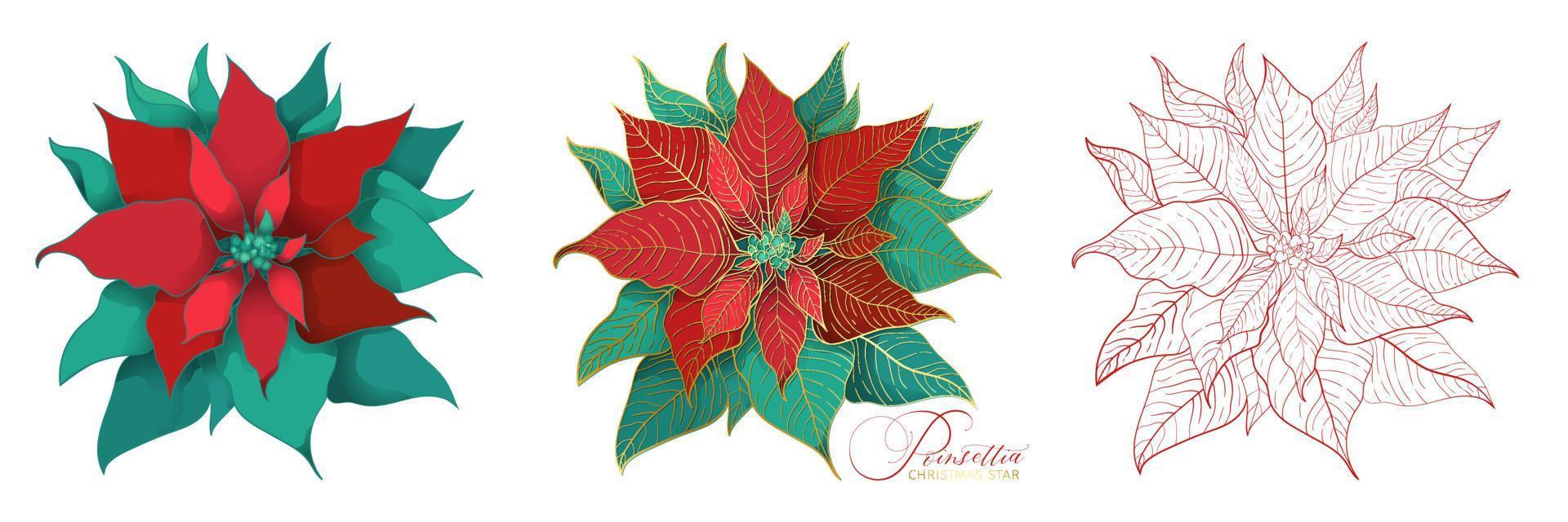 flores de nochebuena en un elegante estilo decorativo vector