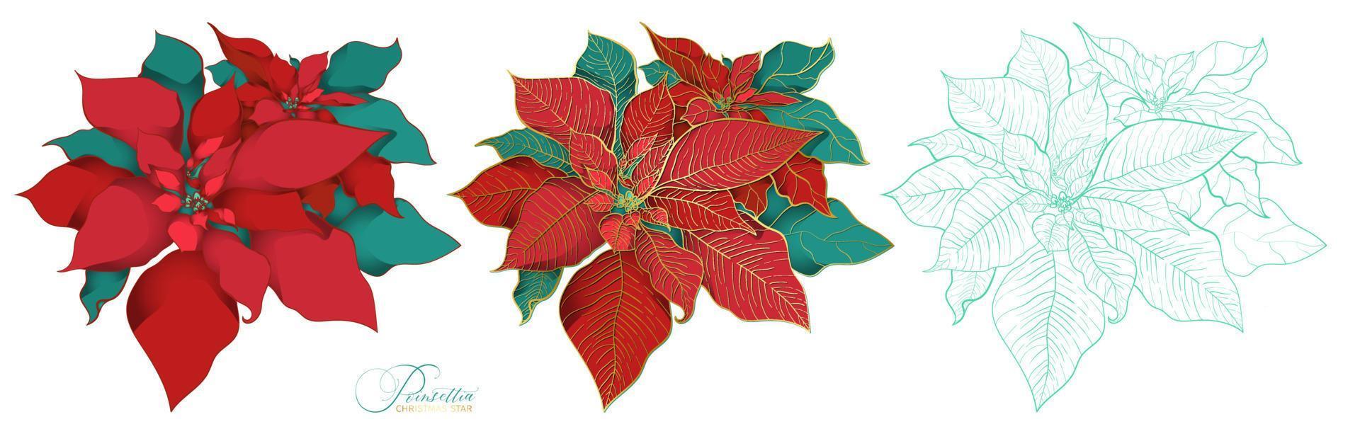 Poinsettia trees in an elegant decorative style vector