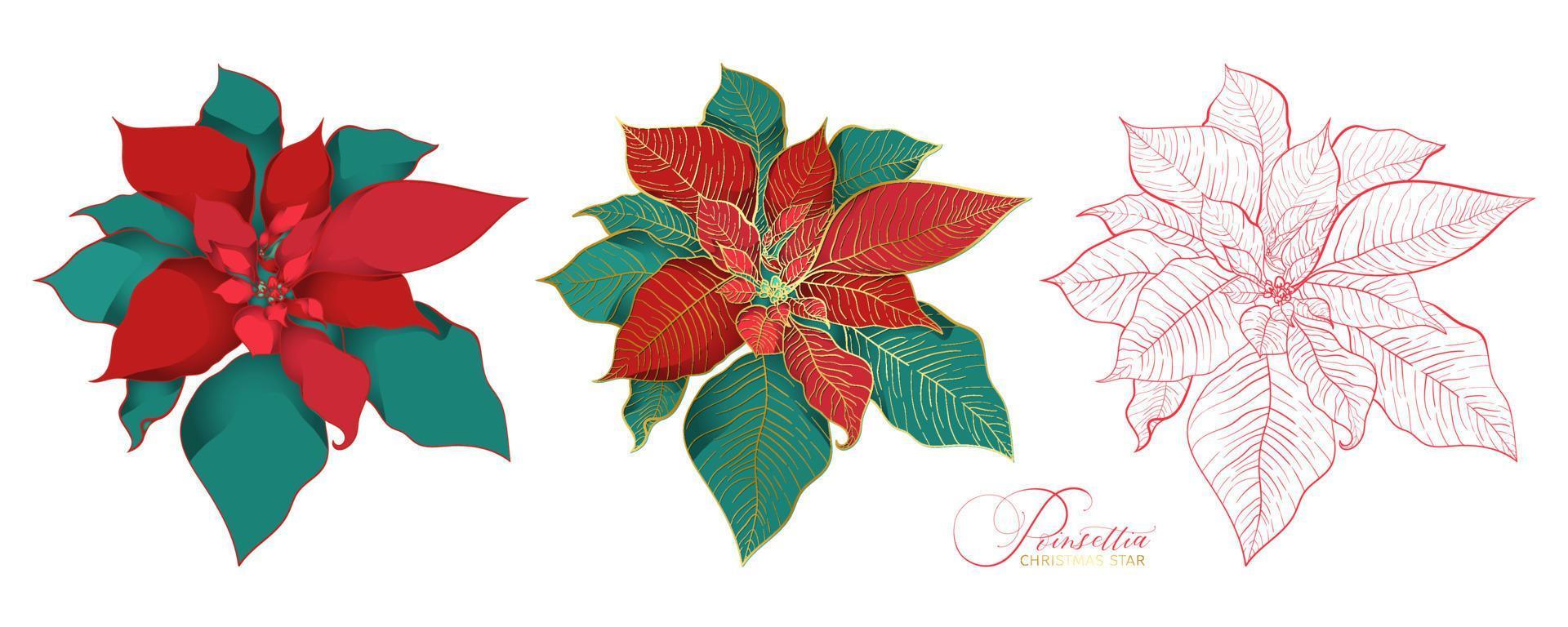 inflorescencia de poinsettia en un elegante estilo decorativo vector