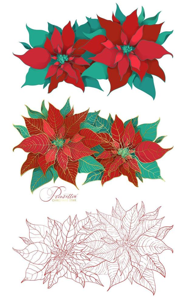 Blooming branch of poinsettia christmas plant in an elegant decorative style vector
