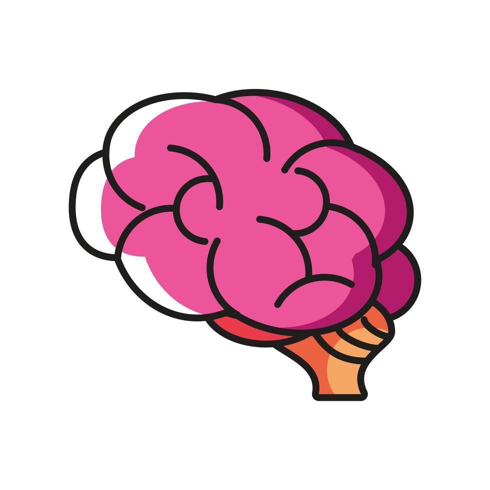 human brain organ vector