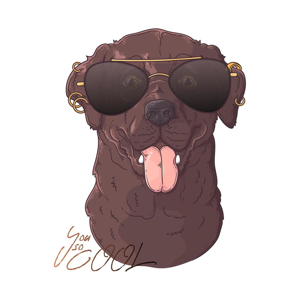 Dibujado a mano perro labrador retriever con vector de gafas. objetos aislados para su diseño. cada objeto se puede cambiar y mover.