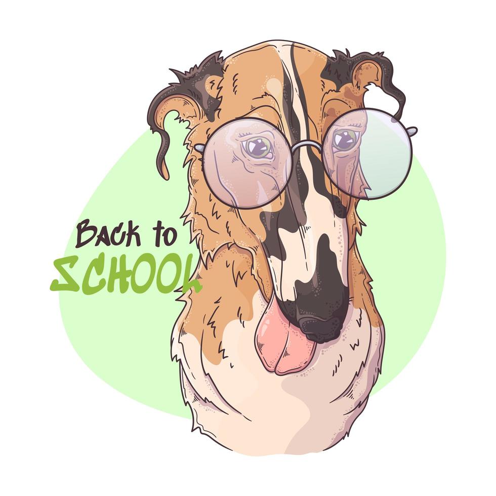 Retrato de perro borzoi dibujado a mano con vector de accesorios. objetos aislados para su diseño. cada objeto se puede cambiar y mover.