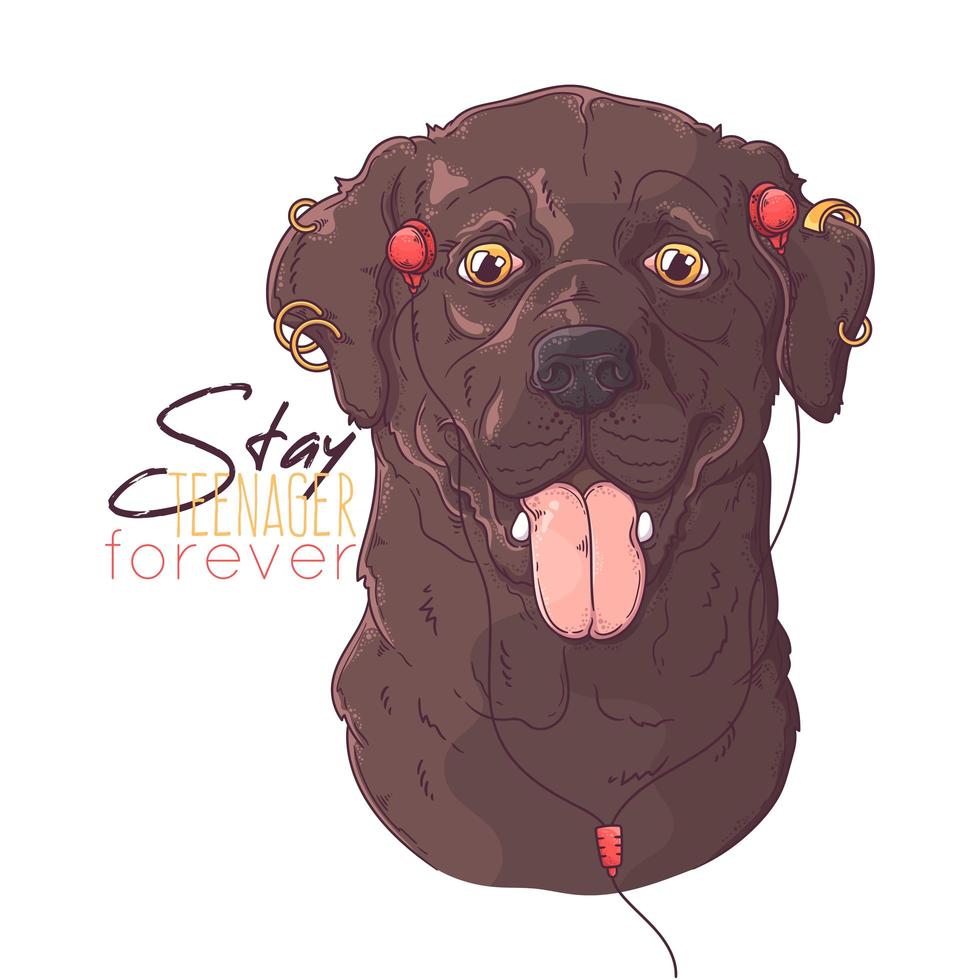Hand drawn Labrador Retriever dog with headphones and piercings Vector. Isolated objects for your design. Each object can be changed and moved. vector