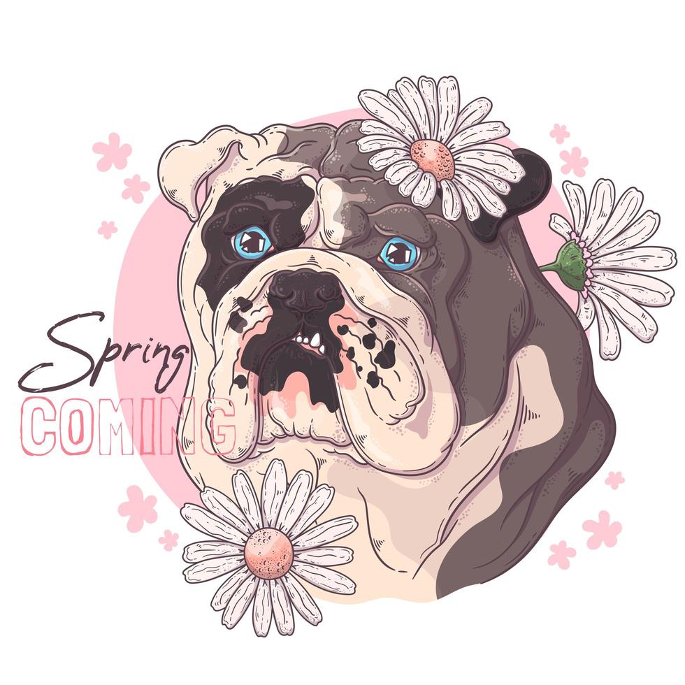 bulldog dibujado a mano con vector de flores. objetos aislados para su diseño. cada objeto se puede cambiar y mover.