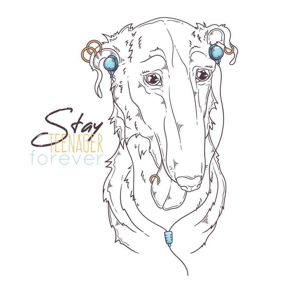 Retrato de perro borzoi dibujado a mano con vector de accesorios. objetos aislados para su diseño. cada objeto se puede cambiar y mover.