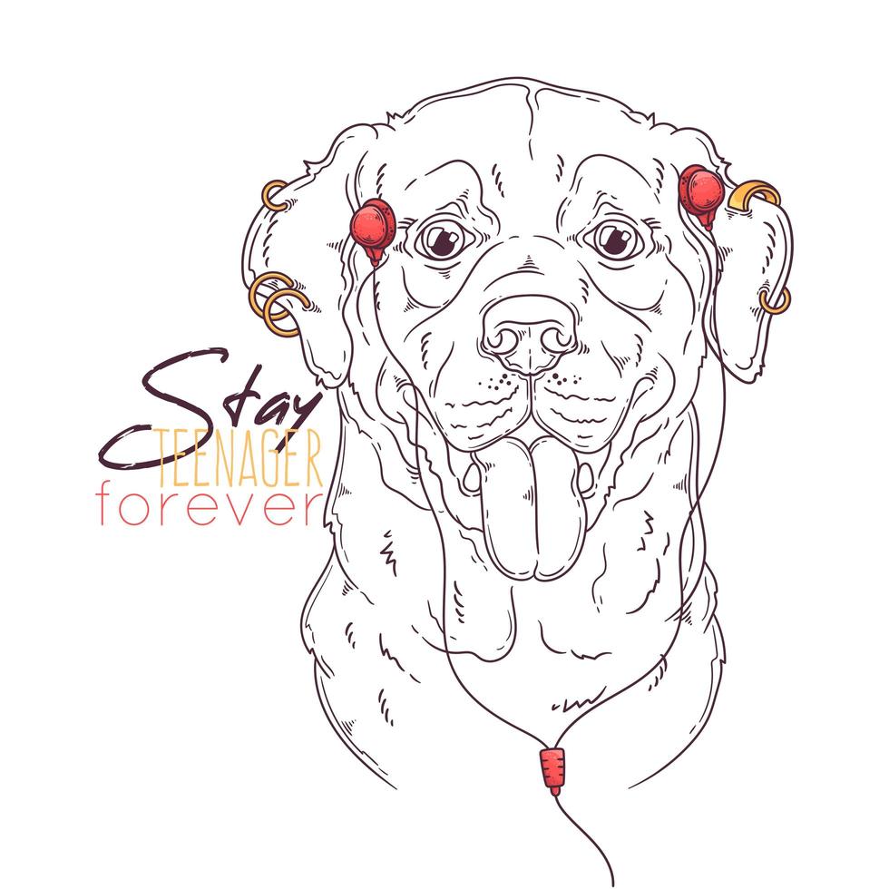 Hand drawn Labrador Retriever dog with headphones and piercings Vector. Isolated objects for your design. Each object can be changed and moved. vector