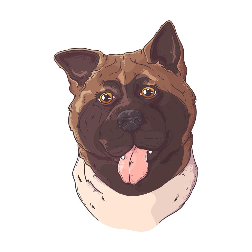 vector de retrato de perro akita dibujado a mano. objetos aislados para su diseño. cada objeto se puede cambiar y mover.