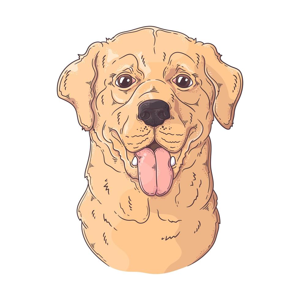 Hand drawn Labrador Retriever dog portrait Vector. Isolated objects for your design. Each object can be changed and moved. vector